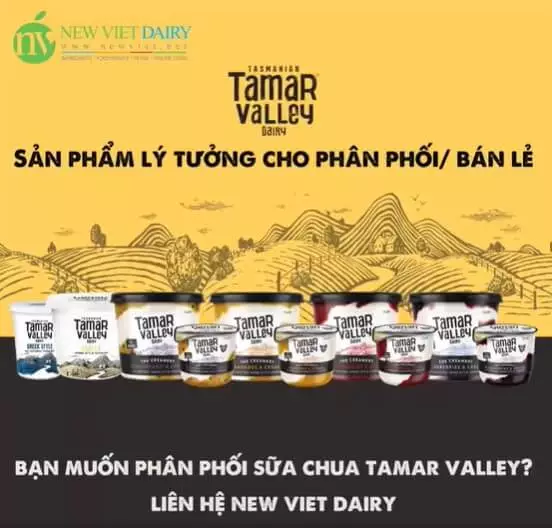 Tamar Valley thương hiệu sữa chua phong cách Hy Lạp được yêu thích hàng đầu nước Úc đã được New Viet Dairy nhập khẩu và phân phối tại Việt Nam. Sữa chua thương hiệu Tamar Valley được sản xuất từ nguồn sữa bò tươi cao cấp ở thung lũng Tasmania, Úc. Các sản phẩm của Tamar Valley đều là dạng sữa chua Hy Lạp với hàm lượng protein và canxi cao hơn nhiều so với các loại truyền thống.